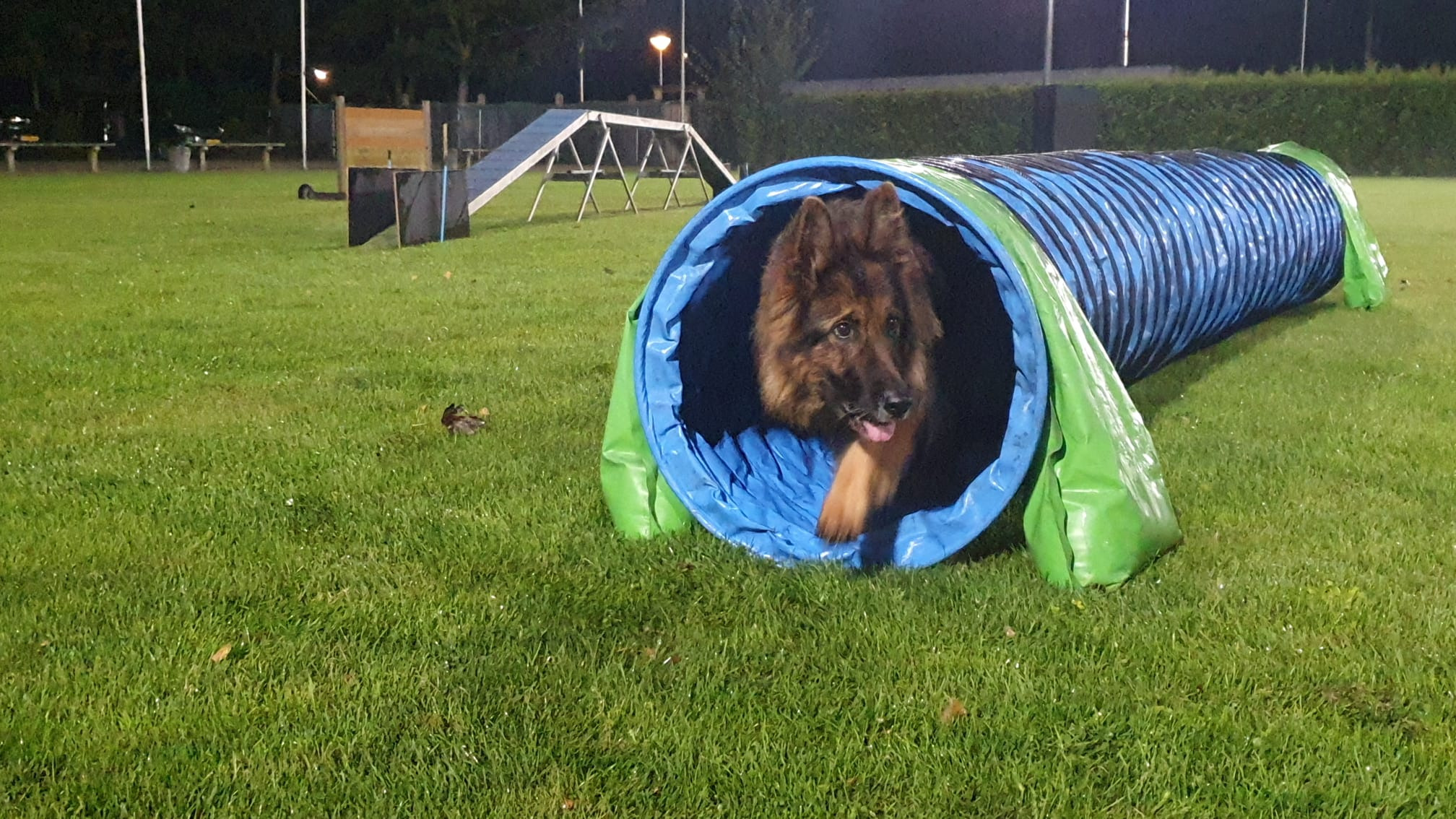 Agility avond!